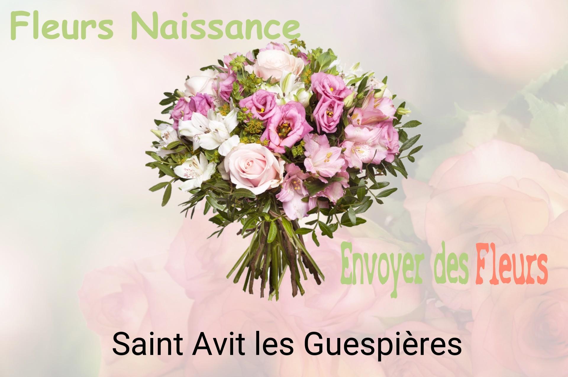 Bouquet de fleurs de naissance livré à Saint-Avit-les-Guespières